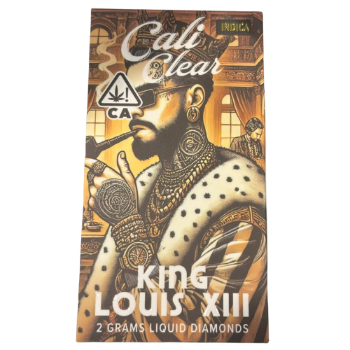 King Louis Xlll